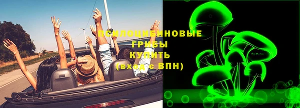 Альфа ПВП Елизово