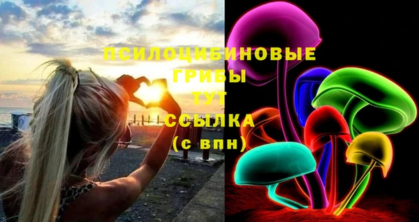 таблы Елабуга