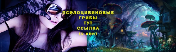 Альфа ПВП Елизово