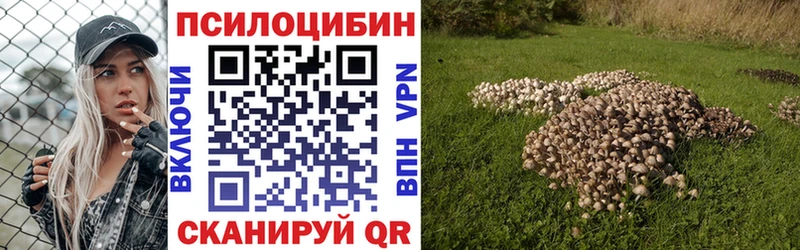 Галлюциногенные грибы Magic Shrooms  Купить  Болхов 